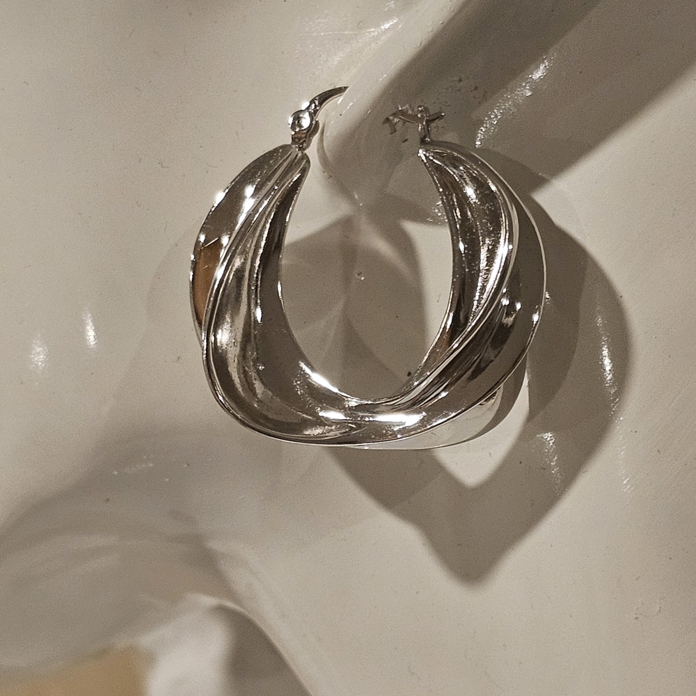 Elegant Silver Hoop Earrings